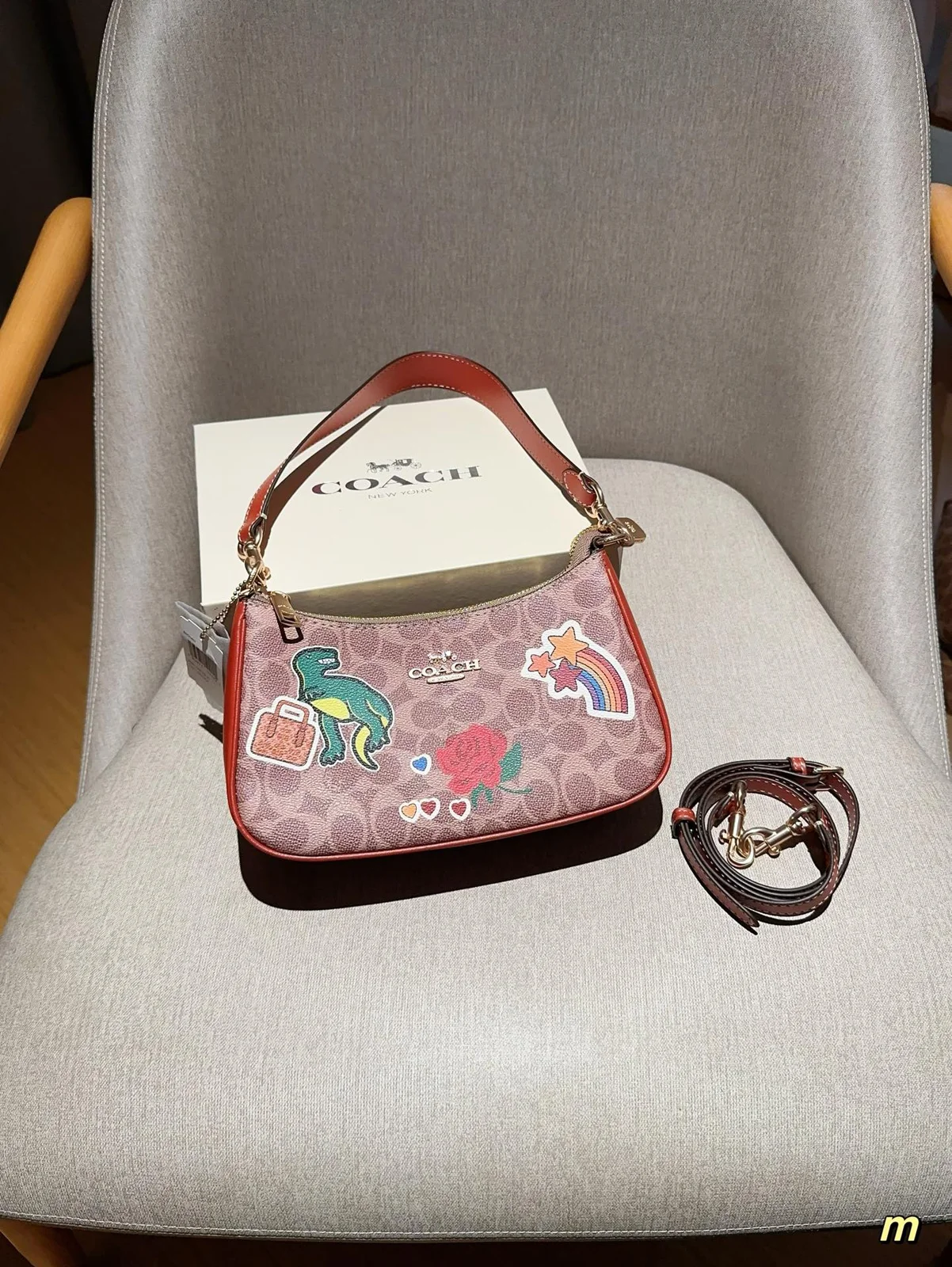 COACH Crossbody