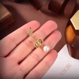 Dior Star CD Single Earring New models