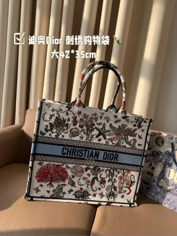 Dior Bag