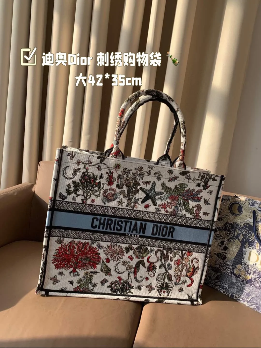 Dior Bag