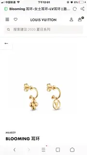 Louis Vuitton letter earrings