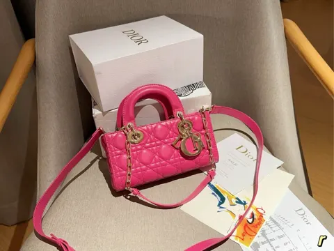 Dior Bag