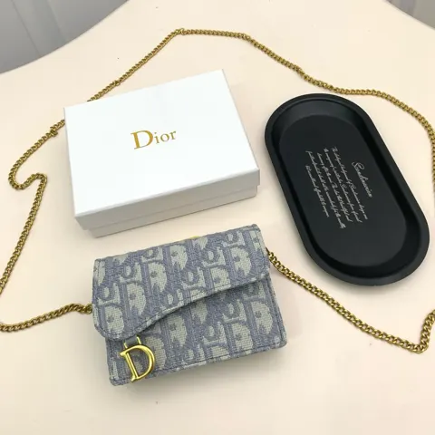 Dior Saddle