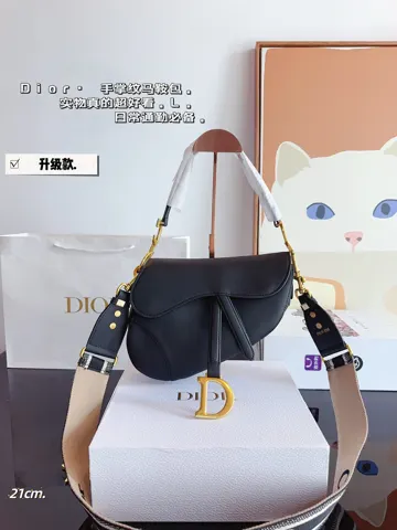 Dior Saddle