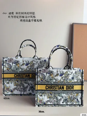 Dior Book Tote