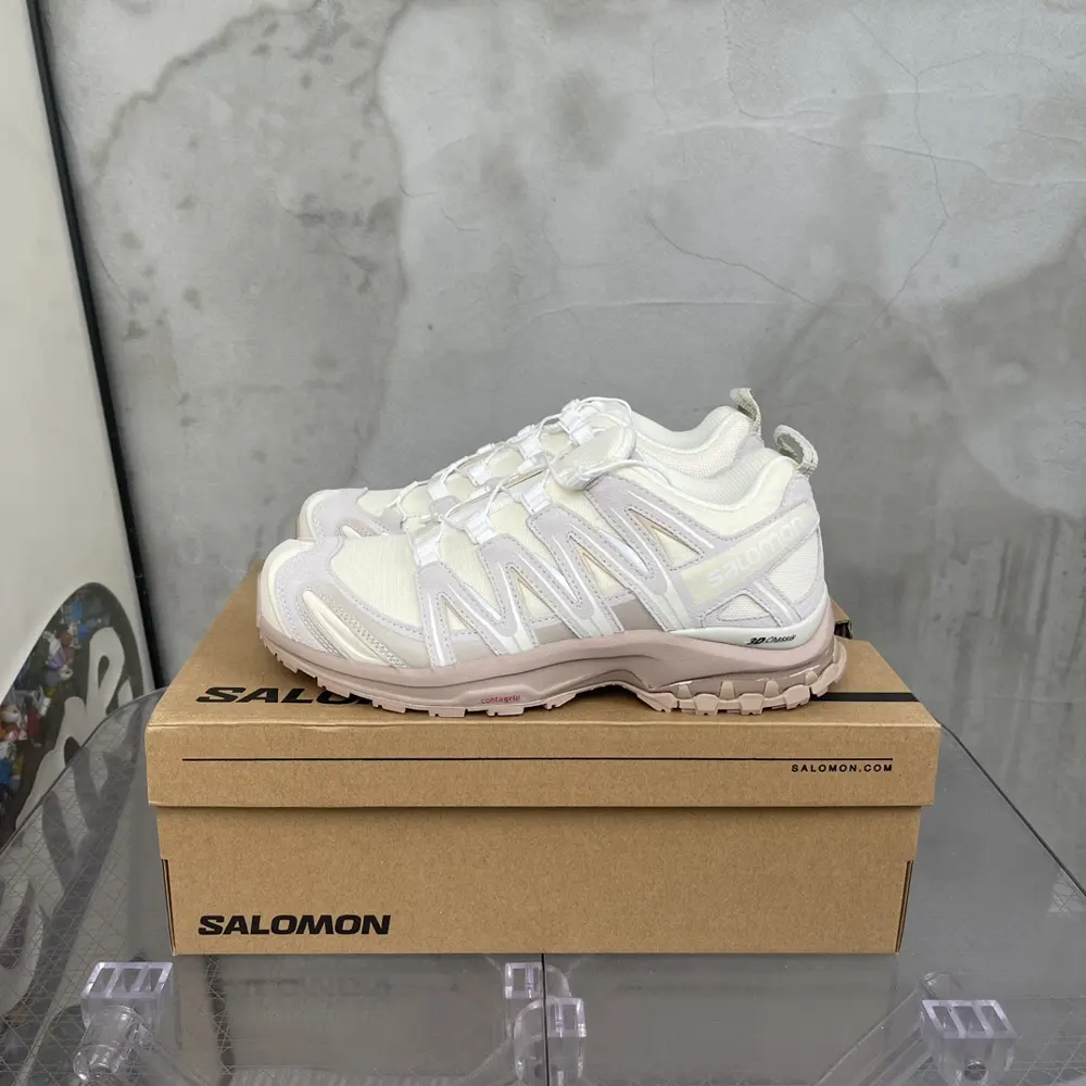 Salomon sports shoes