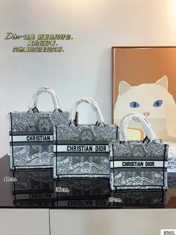Dior Book Tote