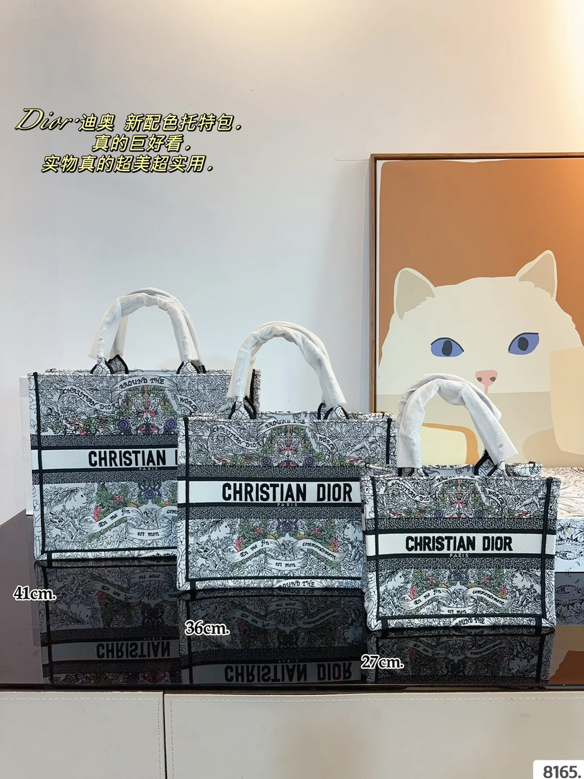 Dior Book Tote