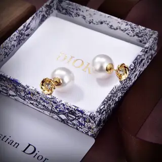 Dior new style Dior new letter earrings loved by top brands. The metal texture