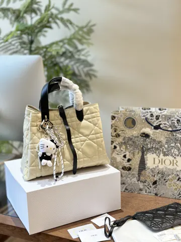 Dior Bag