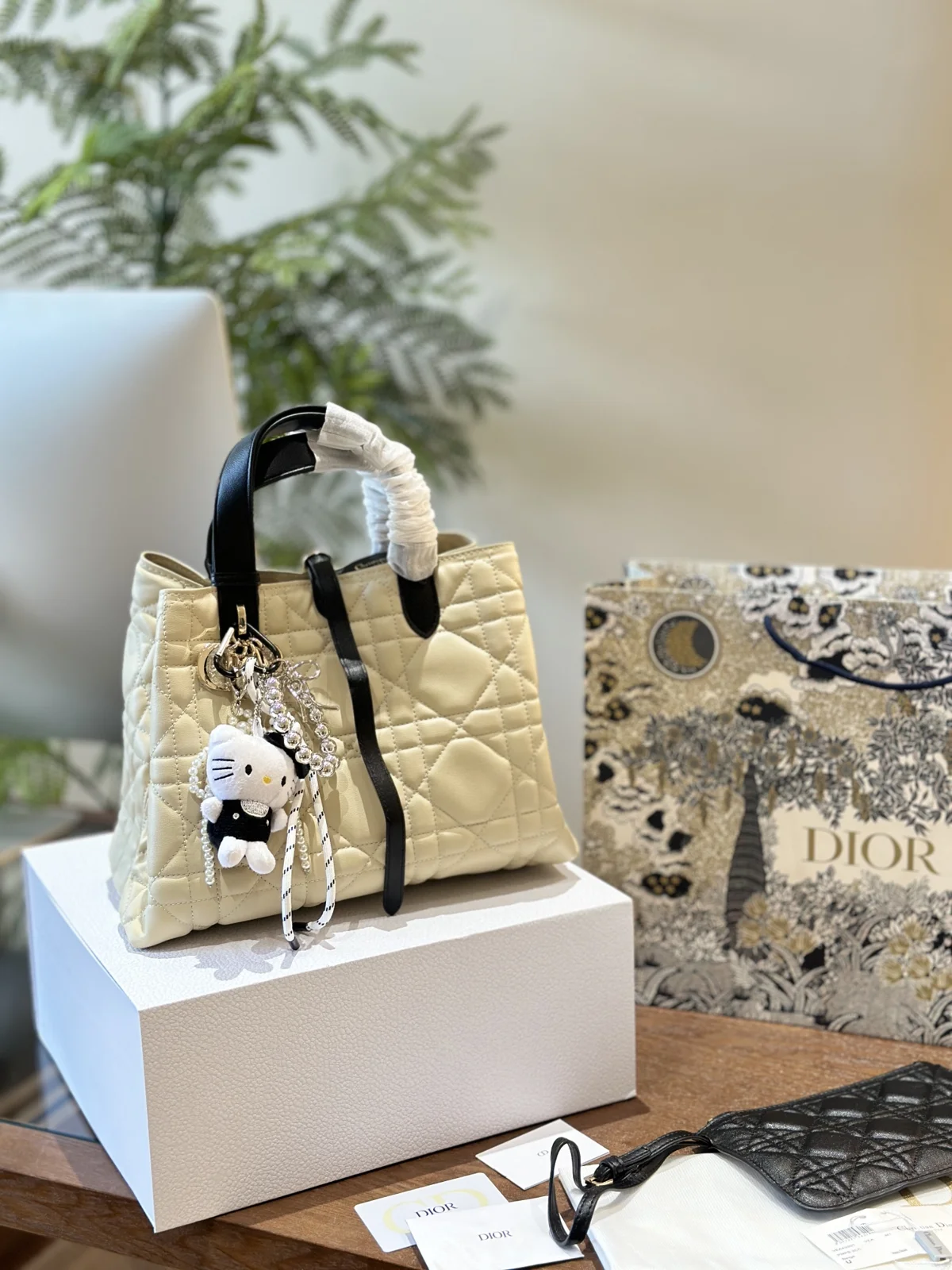 Dior Bag