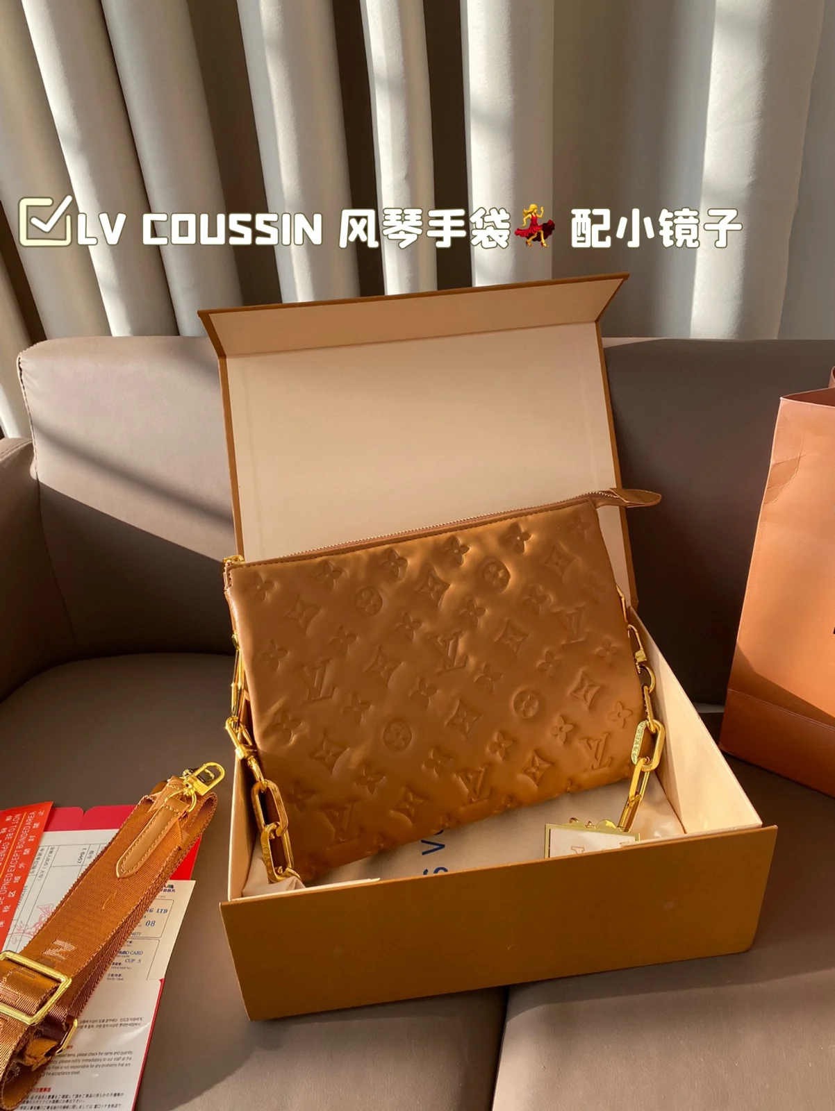 Louis Vuitton Coussin