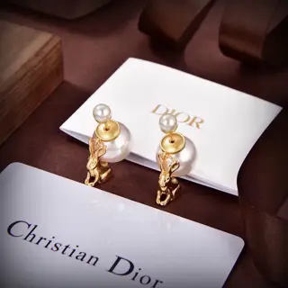 Dior new rabbit earrings