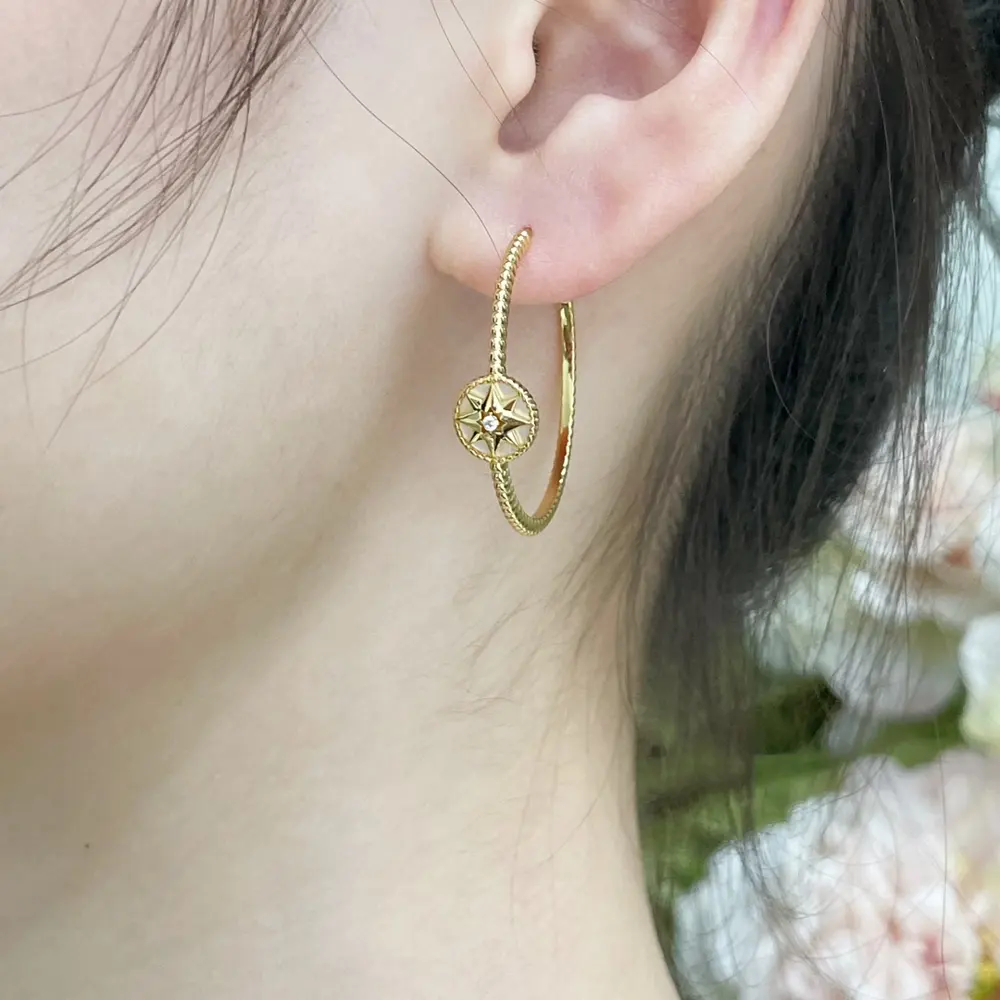 V gold plated with gold ⭐Dior compass earrings [double-sided] Dior eight-pointed star