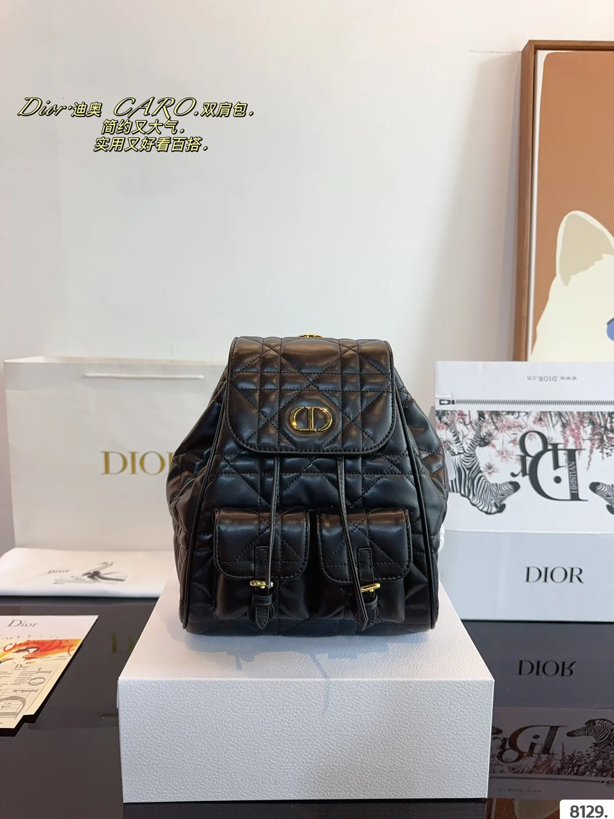Dior Backpack