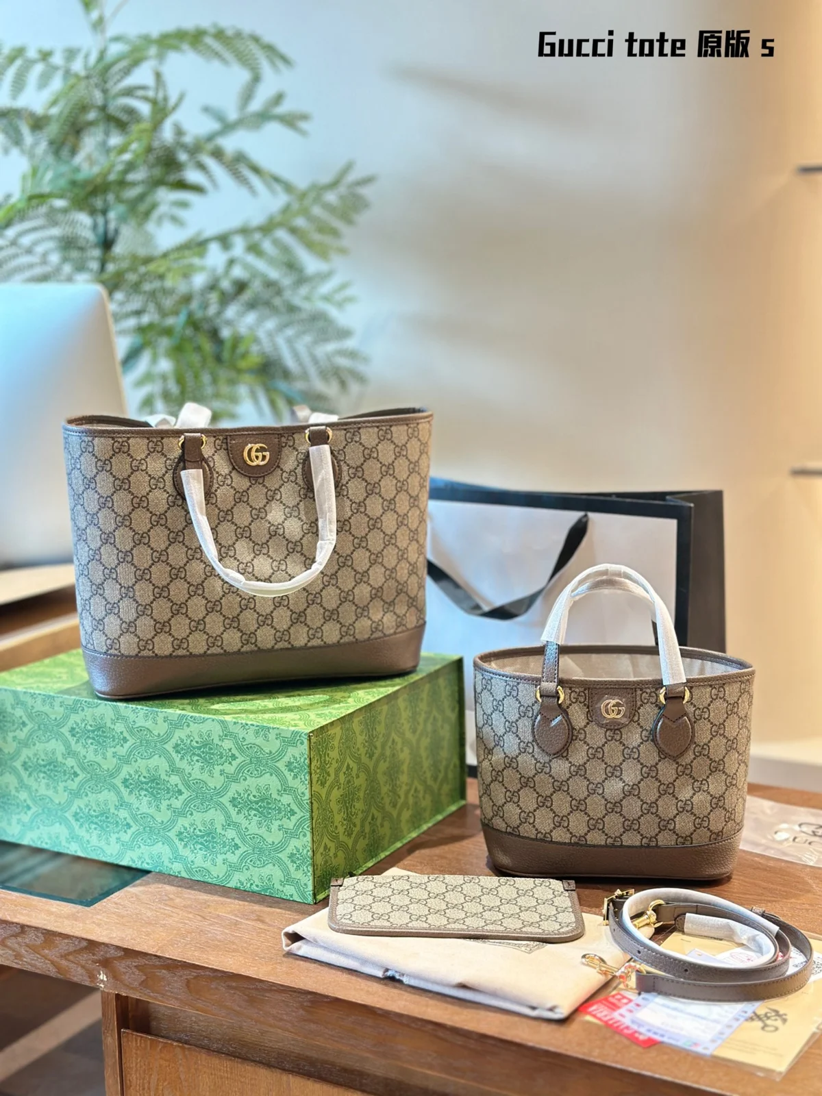 Gucci Ophidia