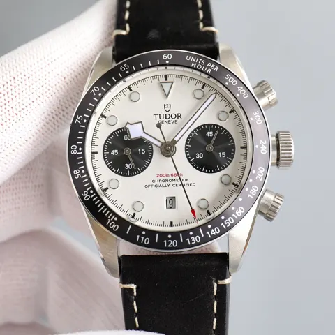 Tudor Black Bay