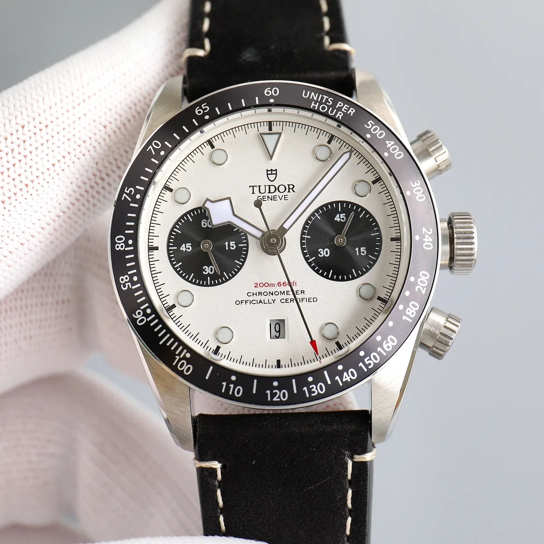 Tudor Black Bay
