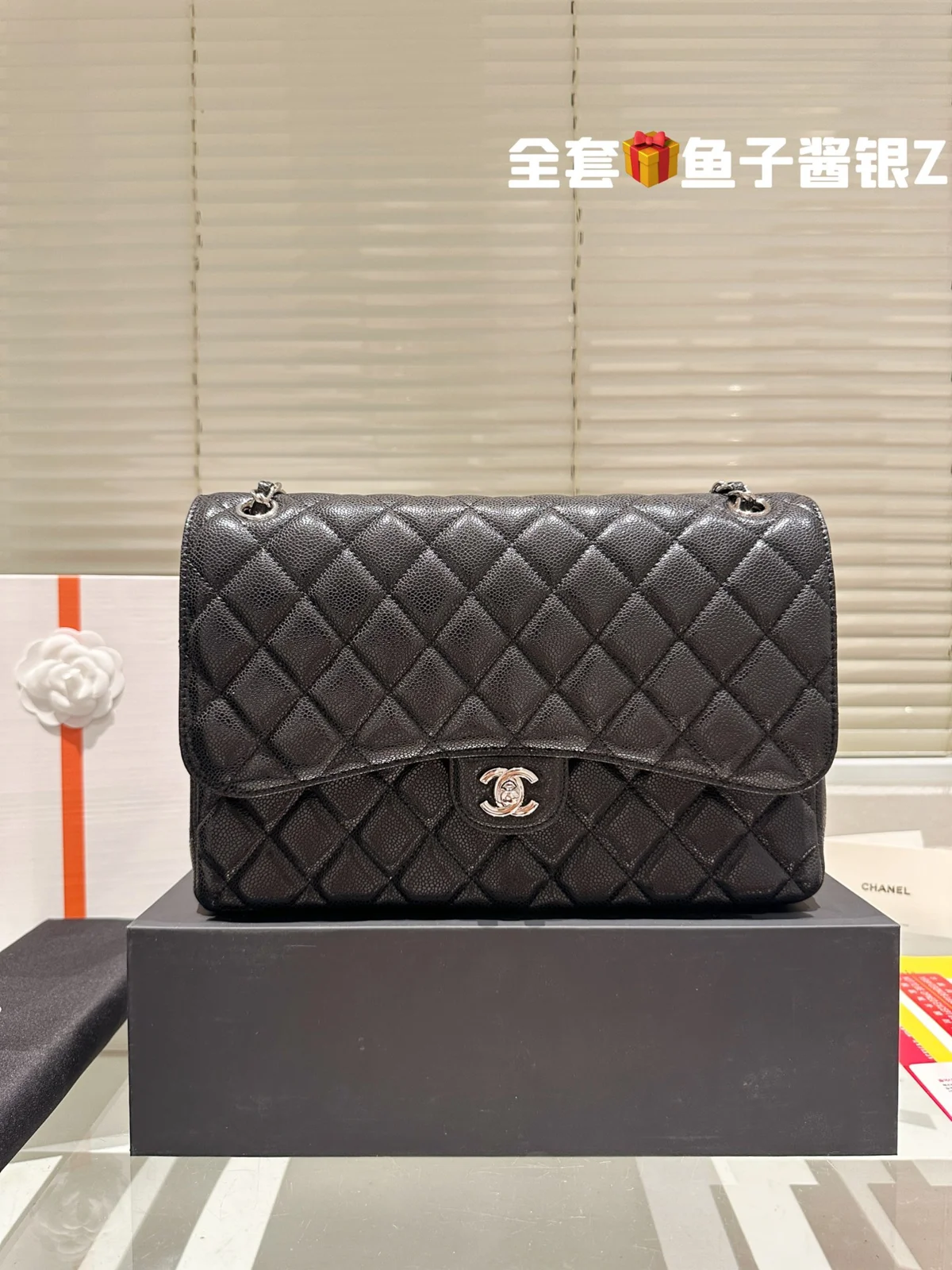 Chanel Bag