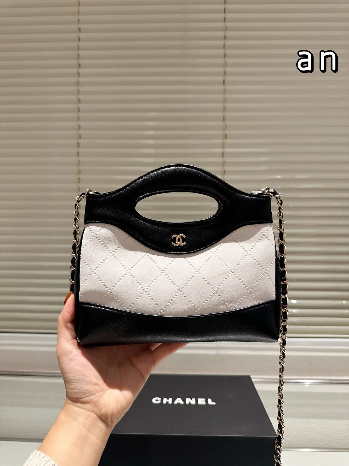 Chanel Bag