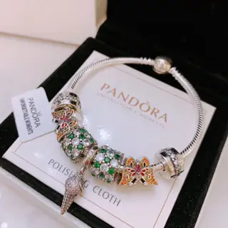 Pandora bracelet