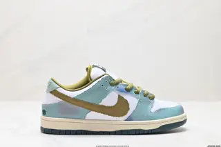 Nike SB Dunk Low Retro Dunk Series Retro Low-top Casual Sports Skateboard Shoes HJ3386-300