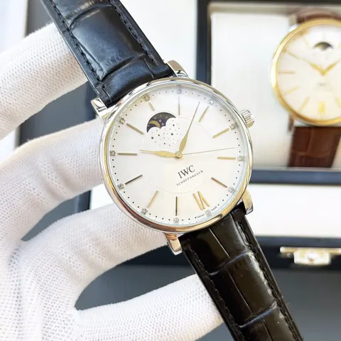 IWC Watch