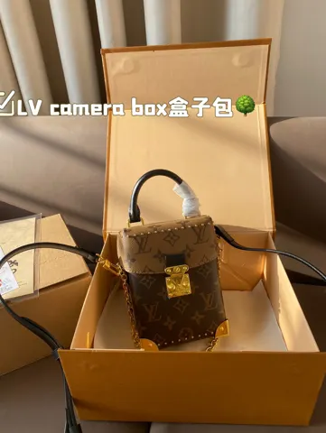 Louis Vuitton Bag