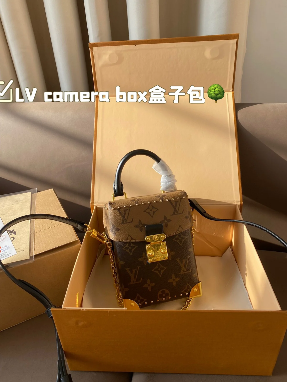 Louis Vuitton Bag