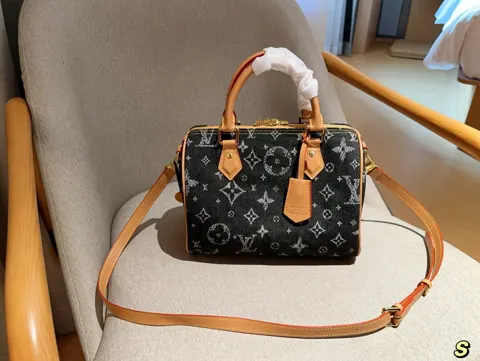 Louis Vuitton Speedy