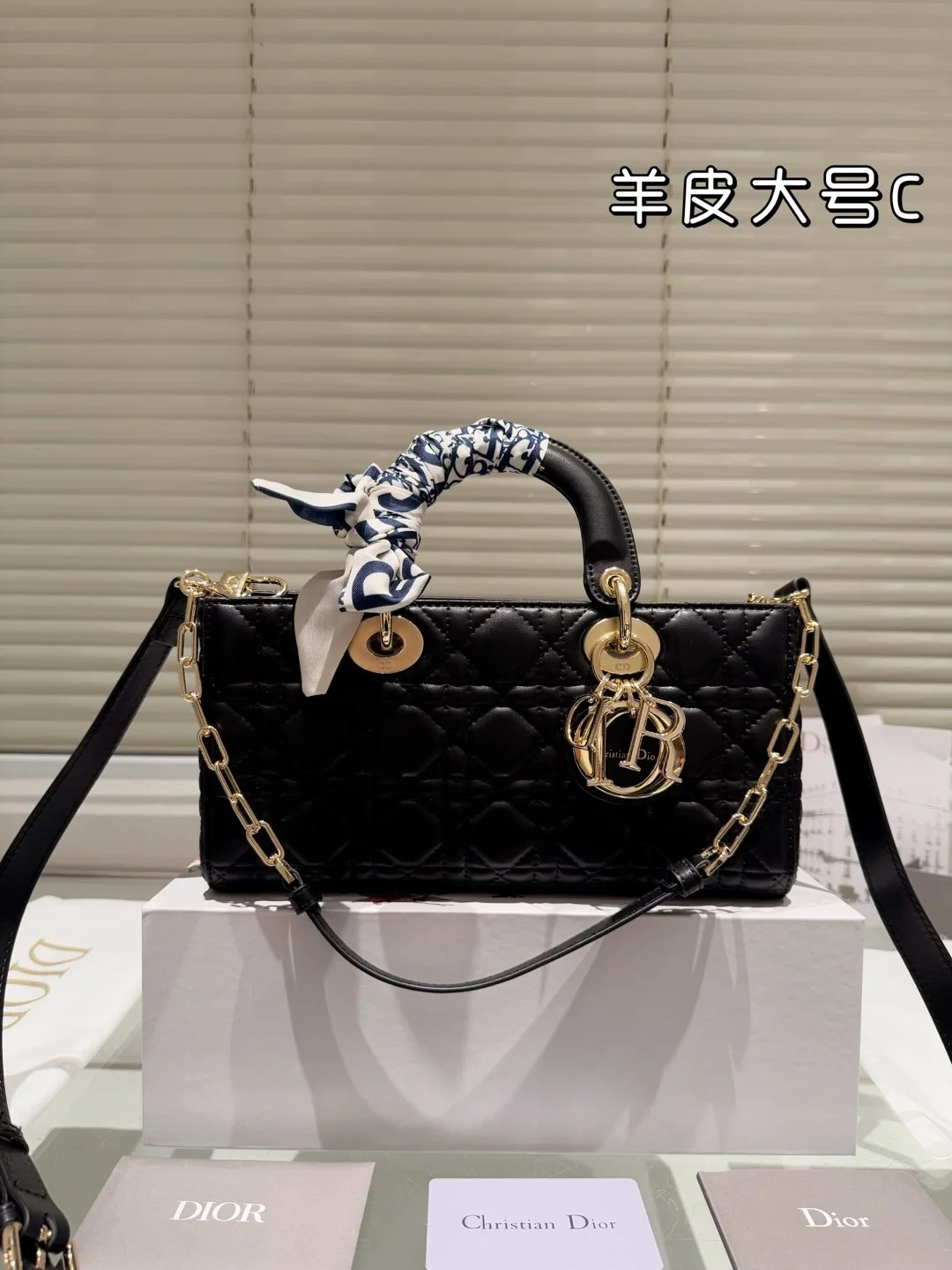 Dior Bag