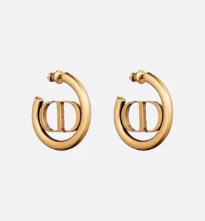 Dior earrings new style beautiful simple and elegant fashionable low-key and luxurious