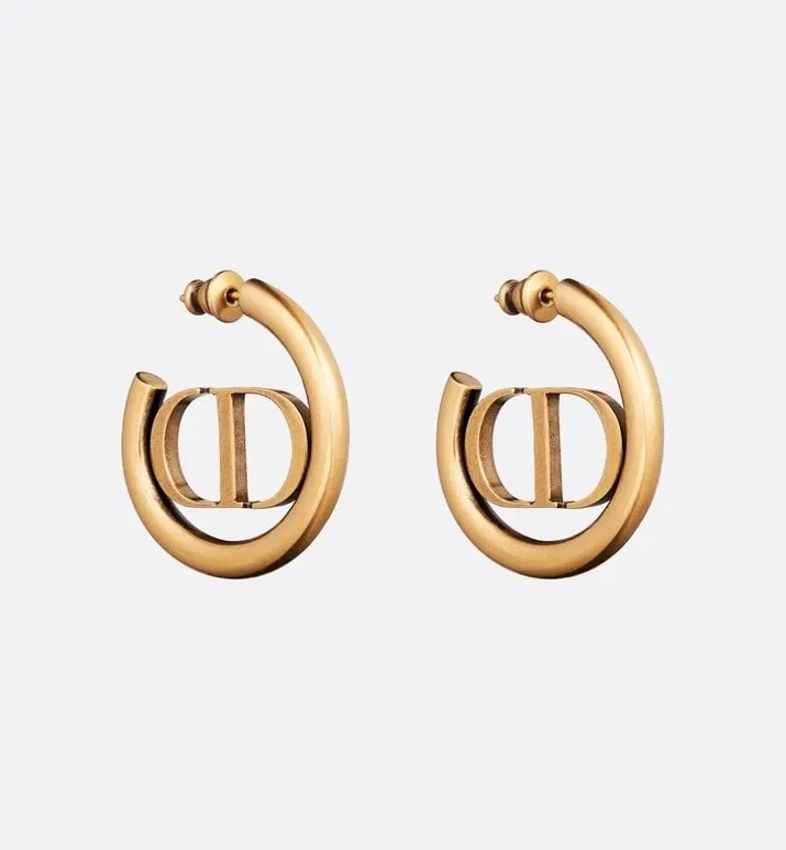 Dior earrings new style beautiful simple and elegant fashionable low-key and luxurious