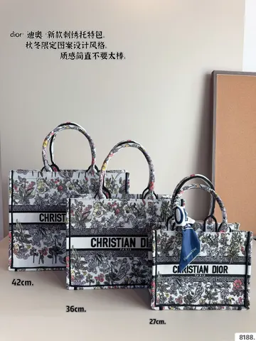 Dior Book Tote