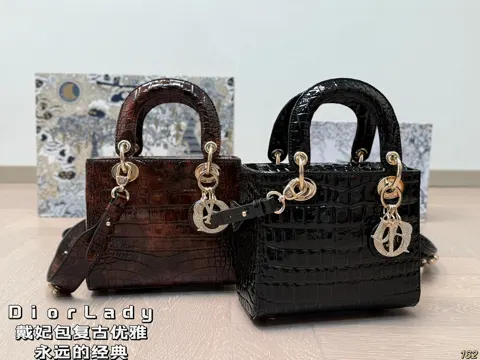 Dior Bag