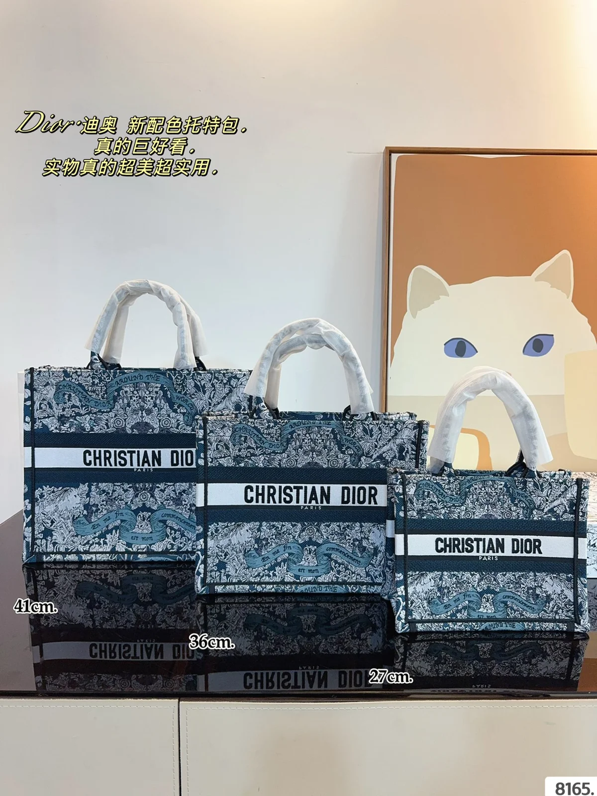 Dior Book Tote
