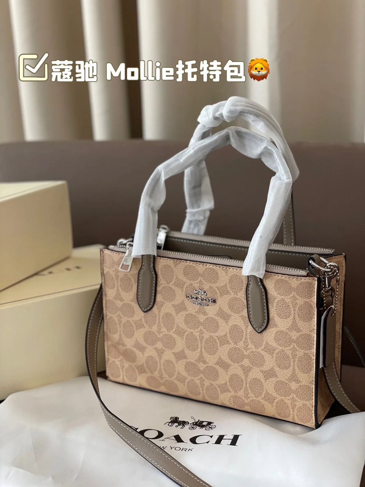 COACH Tote