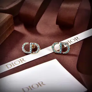 Dior New DIOR earrings