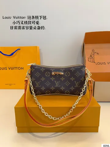 Louis Vuitton Bag