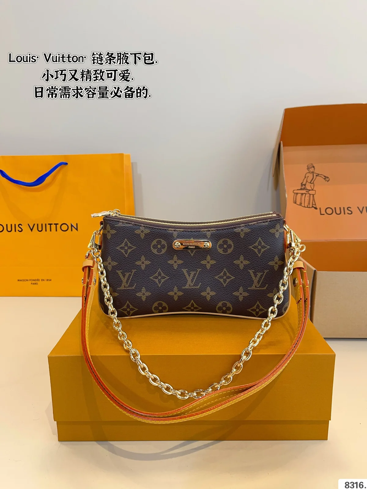 Louis Vuitton Bag