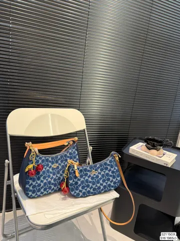 COACH Crossbody