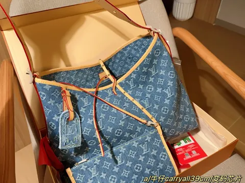 Louis Vuitton Bag