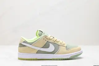 Nike DUNK LOW Dunk Series Retro Low-top Casual Sports Skateboard Shoes HM9651-300