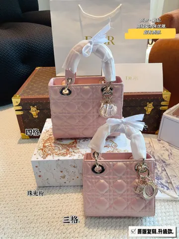 Dior Bag