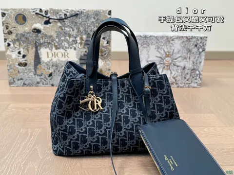 Dior Bag