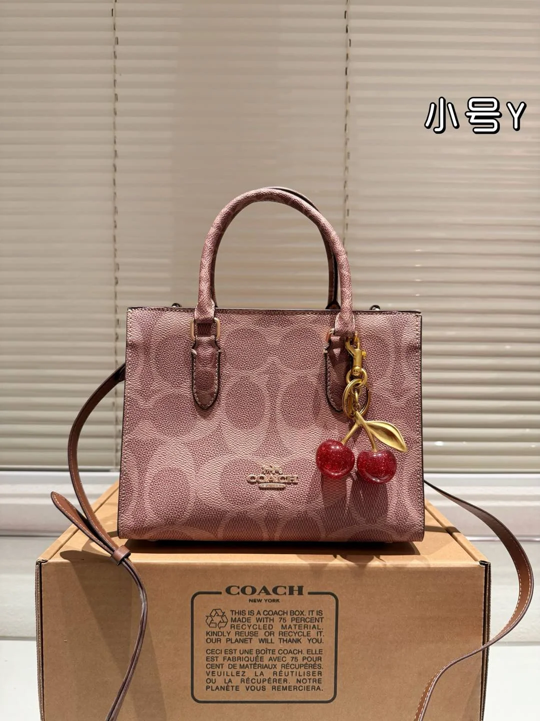 COACH Tote