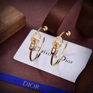 Dior new style Dior new letter earrings loved by top brands Metal texture counterattack