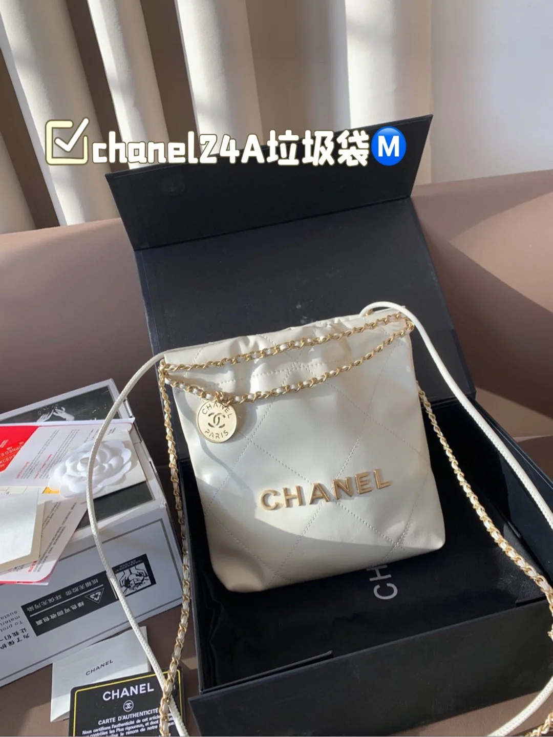 Chanel Bag