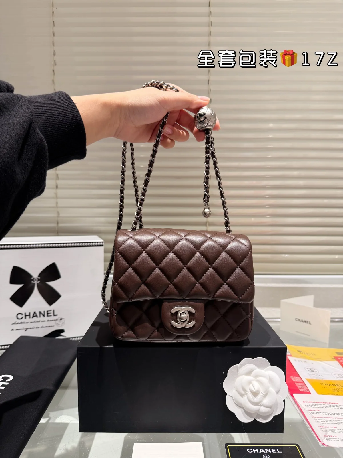 Chanel Bag