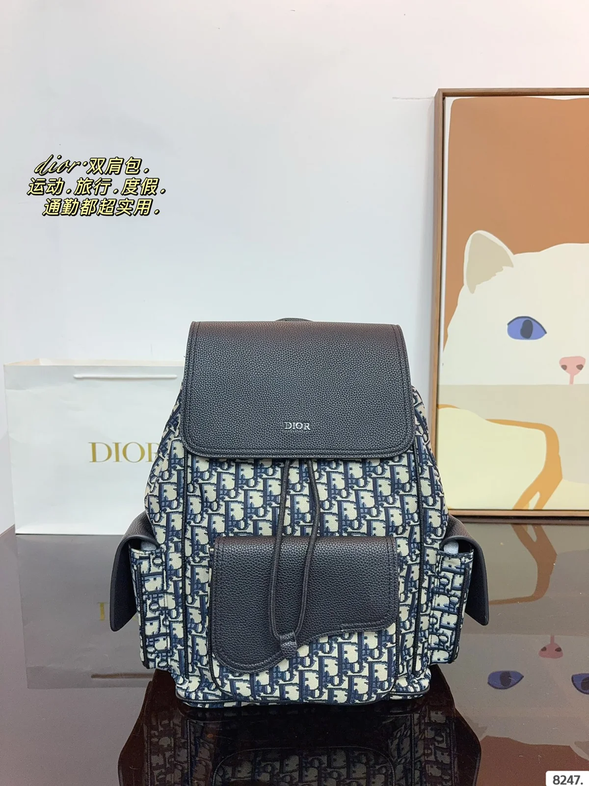 Dior Backpack